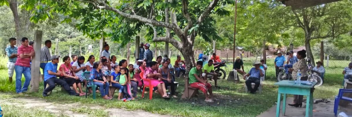 Combate del Gorgojo en el Bosque de Pino.  Cooperativa Agroforestal Brisas de Oro Verde