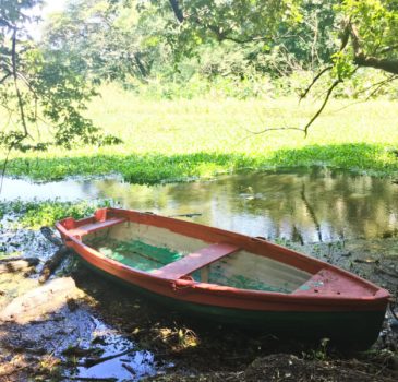 LOMA LARGA. Aplicación de pintura e impermeabilizante a lanchas adquiridas para navegar en el humedal 2. LOMA LARGA. Aplicación de pintura e impermeabilizante a lanchas adquiridas para navegar en el humedal 2.