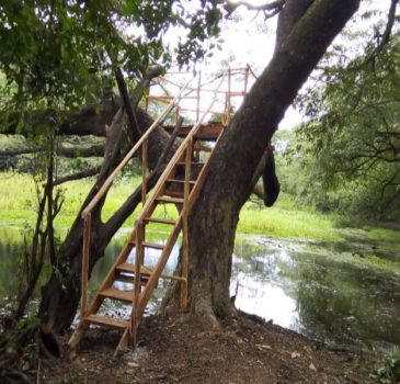 LOMA LARGA. Construcción de observatorios de aves 2 LOMA LARGA. Construcción de observatorios de aves 2
