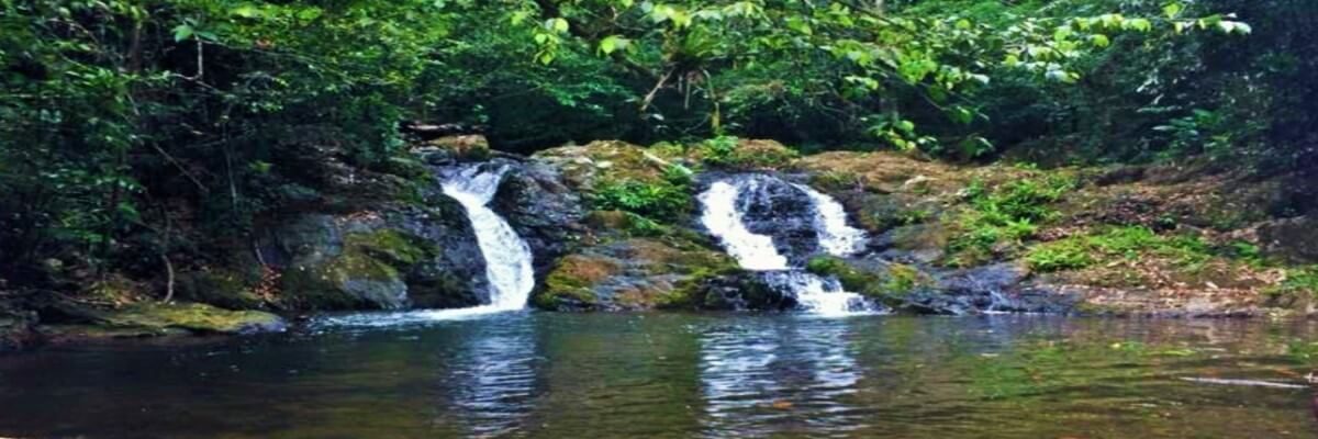 Cultura Garifuna. Empresa de Servicios Múltiples Esperanza de la Juventud (EMJOGAHENI)