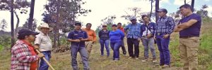 Cooperativa Agroforestal Brisas de Oro Verde