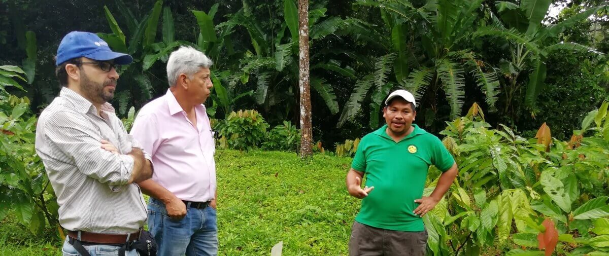 Reunión y visita de campo con miembros de FAO-Panamá a los grupos ACODAAC y COCABO