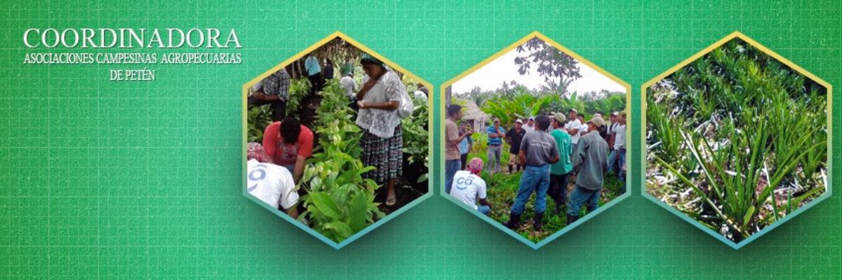 Coordinadora de Asociaciones Campesinas Agropecuarias de Petén