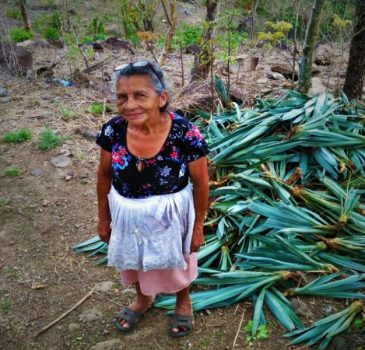 Entrega de Hijuelos de Henequén