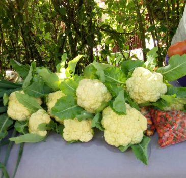 ASOORGANICOS ASOORGANICOS