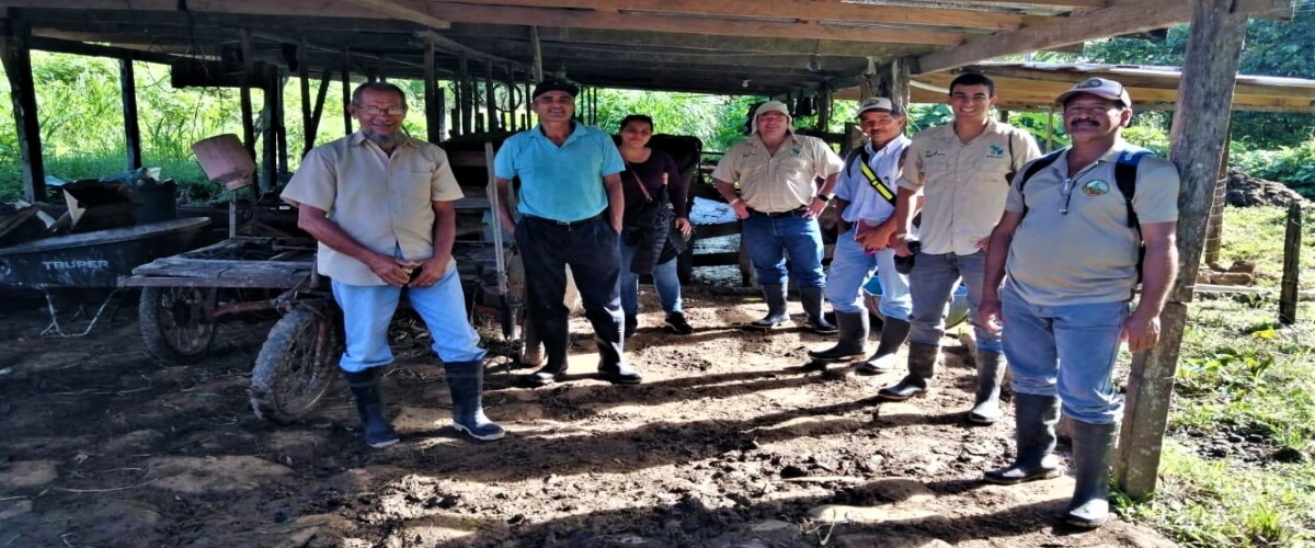 Proyecto Fincas Escuela: Alternativas para la Sostenibilidad Productiva y la Conservación en el Corredor Biológico Rincón Cacao