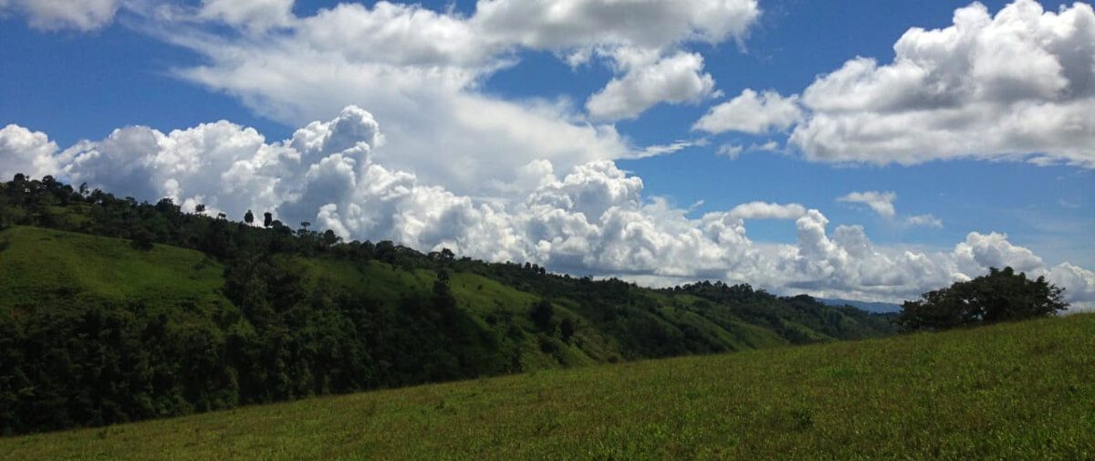 “Contaminación del aire”; un grave problema que afecta a millones de personas en todo el mundo.
