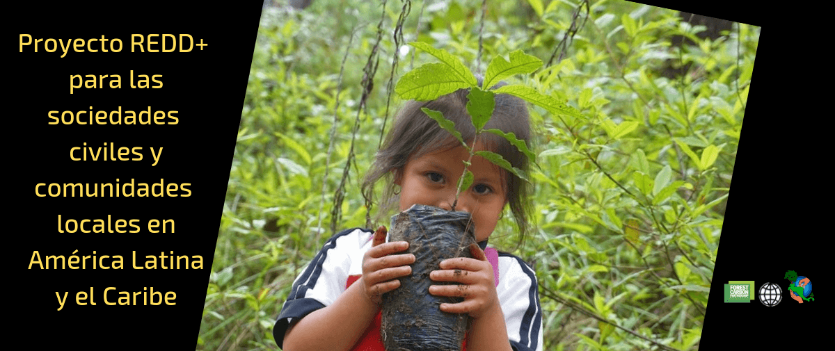 Llamado A Concurso Para Organizaciones De La Sociedad Civil, A Través Del Proyecto REDD+