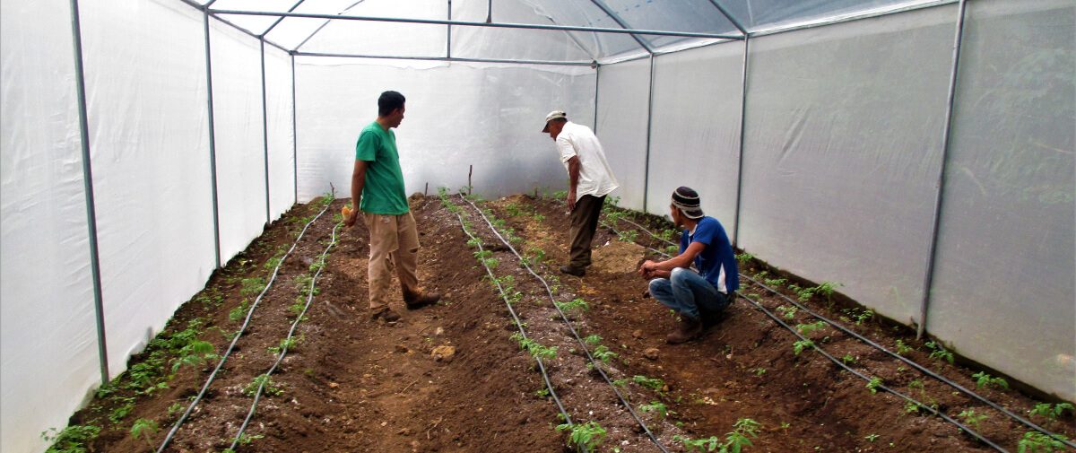 Agro diversificación productiva, alimentaria y cosmética, Peña Hueca, Morazán, El Salvador.