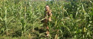 Producción de alimentos sanos, biodiversos y utilizando prácticas agroecológicas, en el cantón de Guatuso, zona norte de Costa Rica