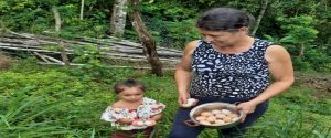 Seguridad alimentaria y  rescate de la cultura Garífuna en la comunidad de Cusuna, Iriona, Colon, Honduras