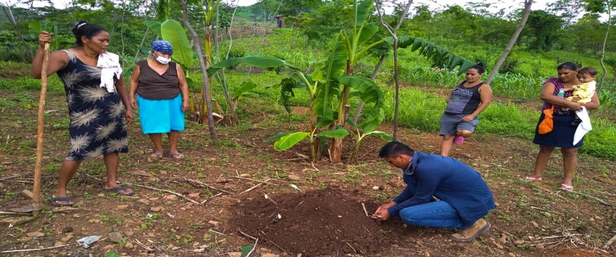 Agricultores en Choluteca, Honduras, hacen frente al cambio climático y la crisis del COVID-19 mediante la producción ecológica y la diversificación de cultivos
