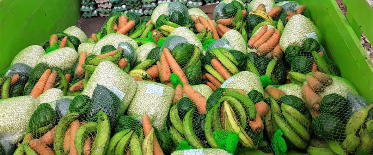 Diversificación productiva, acopio y distribución de alimentos generan nuevas oportunidades laborales en Sayaxché, Peten, Guatemala