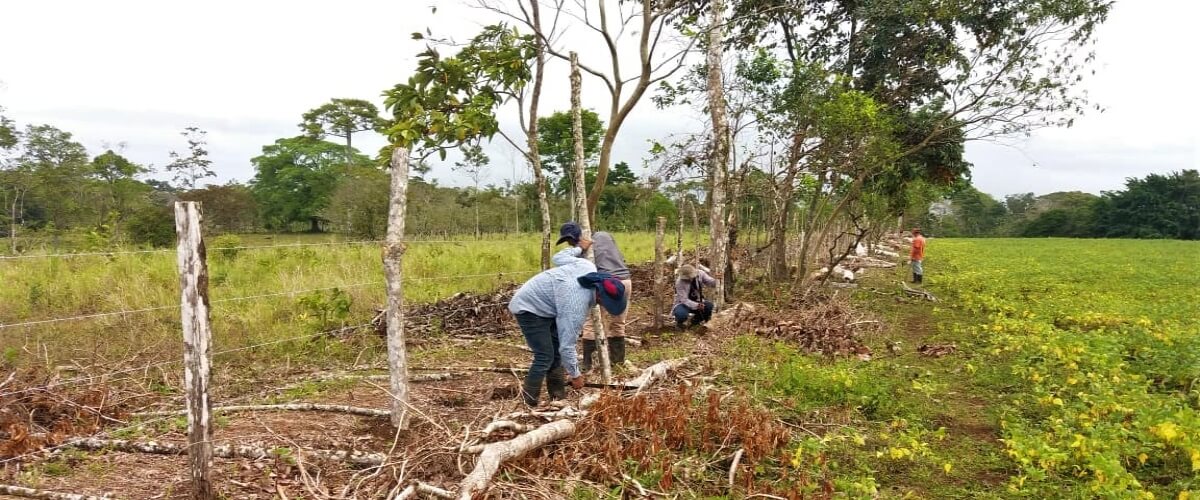 A través de prácticas agroecológicas y alianzas estratégicas se impulsa la economía familiar en Guatuso, Costa Rica