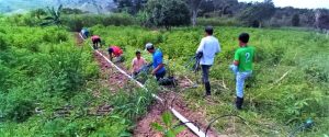 Apicultores de Chalatenango, dan un salto innovador en la comercialización de miel
