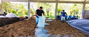 Agricultura ecológica, una alternativa de adaptación para familias indígenas y campesinas en Copán Ruinas