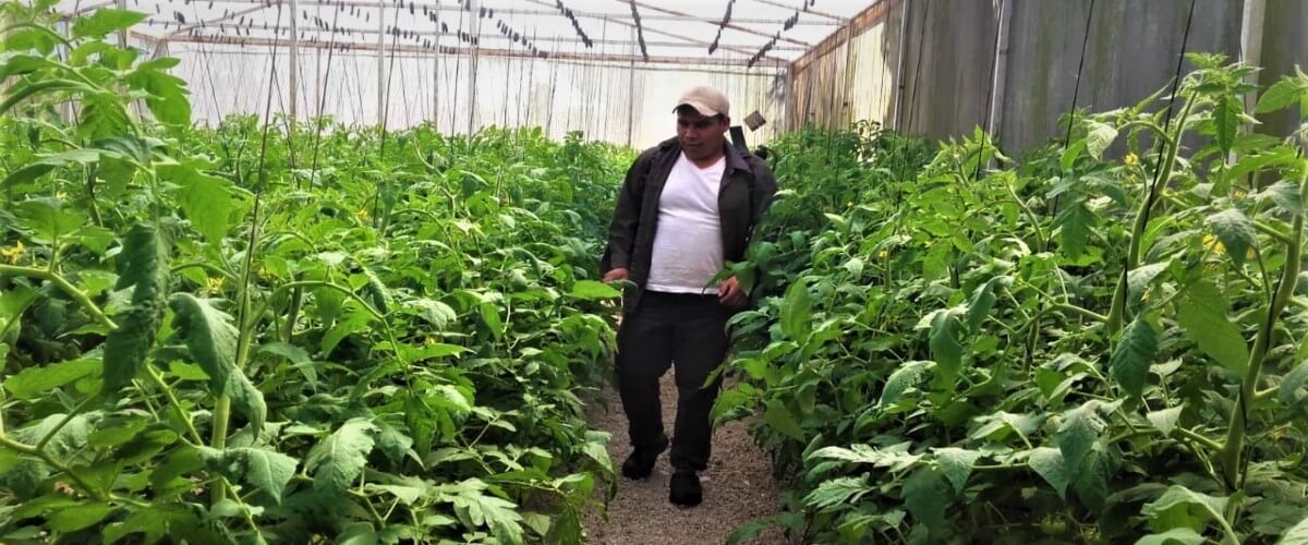 Jóvenes de ACODASJAR adoptan técnicas de producción respetuosas con el medio ambiente y obtienen grandes beneficios