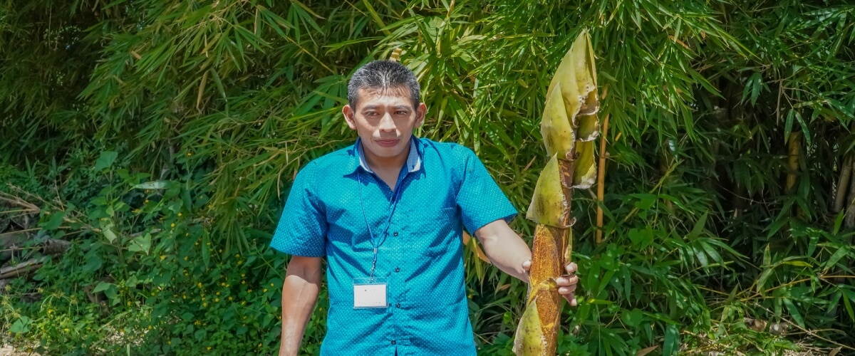 Participantes del Diplomado Sobre Agroecología y Agricultura Orgánica, Comparten Experiencias y Elaboran Bioestimulantes a Base de Bambú.