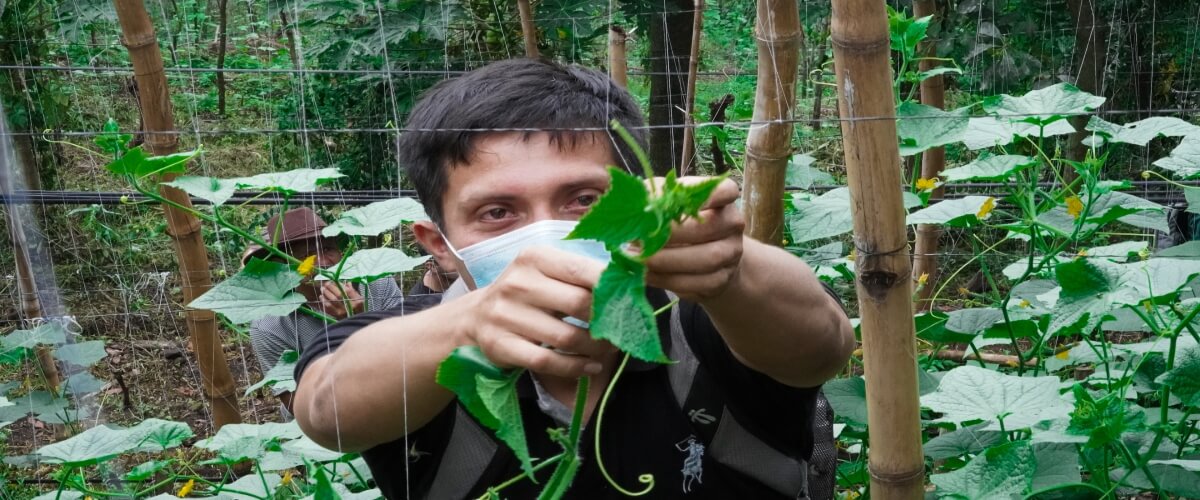 En Peña Hueca, San Fernando, Morazán, El Salvador, se desarrolló el cuarto día del Diplomado sobre Agroecología y Agricultura Orgánica