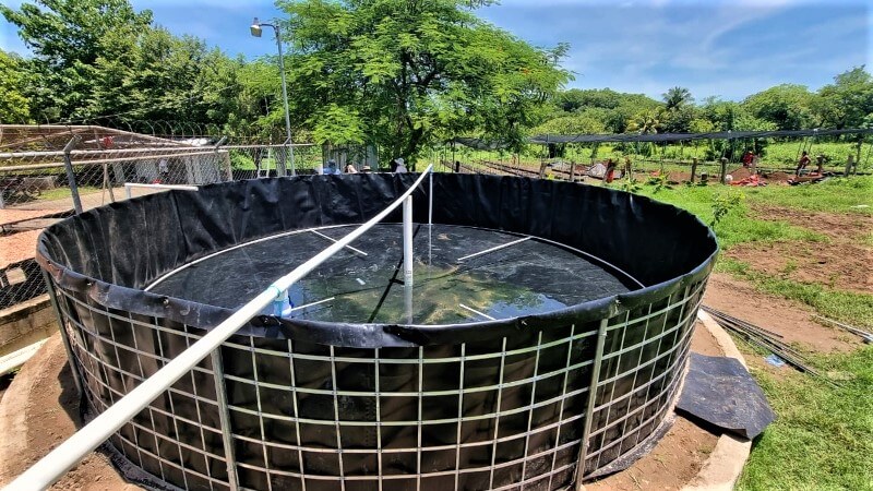 Mujeres socias de la mejoran la seguridad alimentaria mediante la construcción de estanques para cultivo de tilapia - Acicafoc