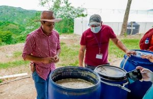 Elaboración de biofertilizantes y repelentes