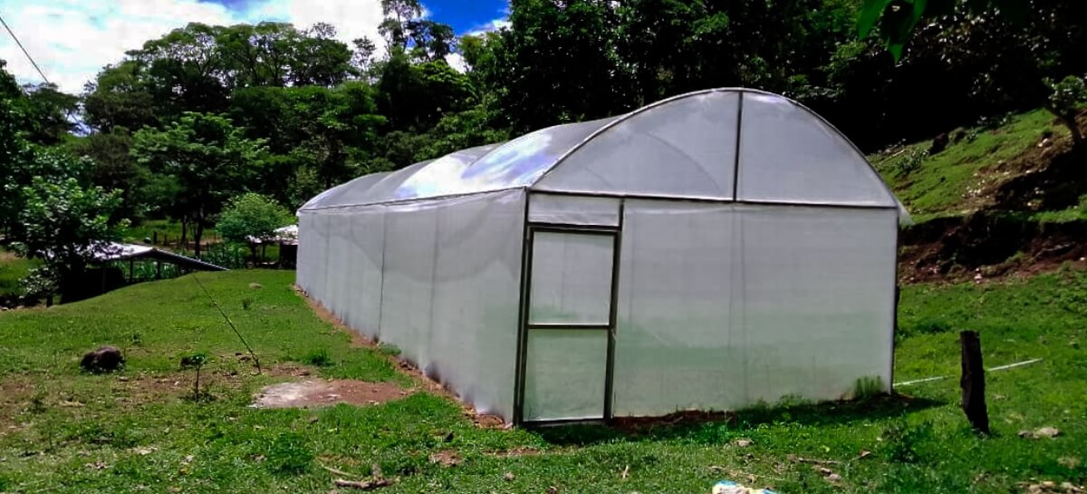 Agrobiodiversificacion productiva, garantiza la seguridad alimentaria de familias indígenas Kakawira