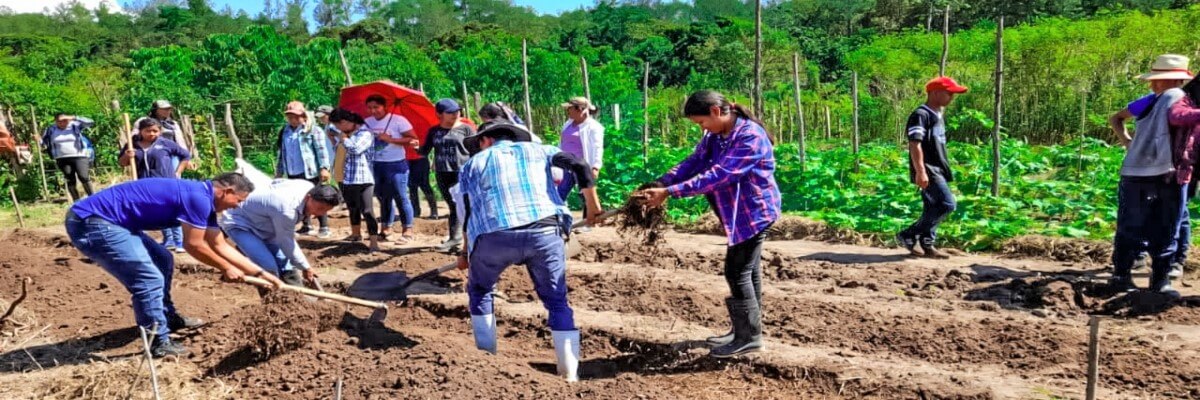 Jóvenes de Subirana, Dulce Nombre de Culmi, Olancho, Honduras, se capacitan en agricultura orgánica.