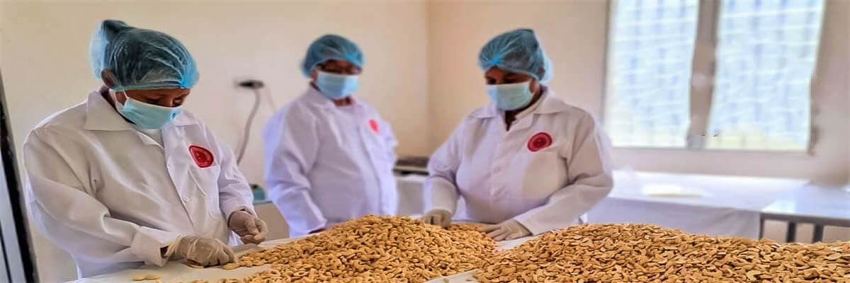 Cooperativa de mujeres la Sureñita, conquista el mercado con marañón procesado