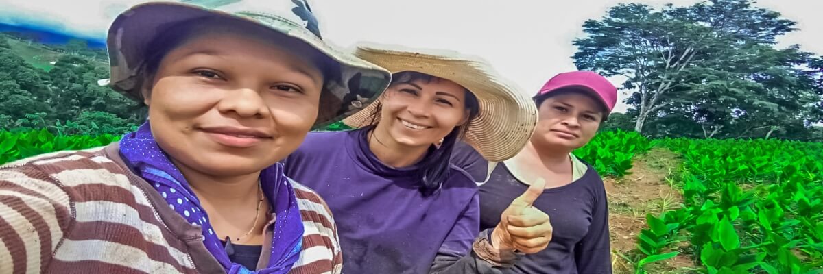 Productores orgánicos de COOPEASSA, reciben fertilizantes para nutrir los cultivos