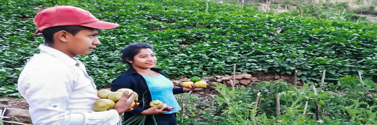 Mediante la adopción de nuevas tecnologías y la diversificación productiva se logra la seguridad alimentaria en la comunidad El Santuario