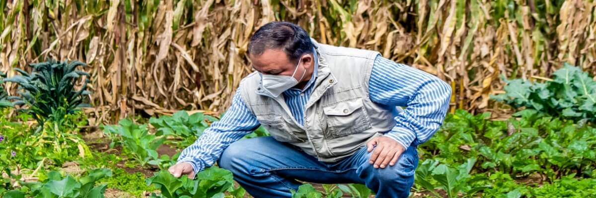 En comunidades indígenas mayas de Guatemala, se desarrollan actividades para el fortalecimiento de capacidades en producción agrícola