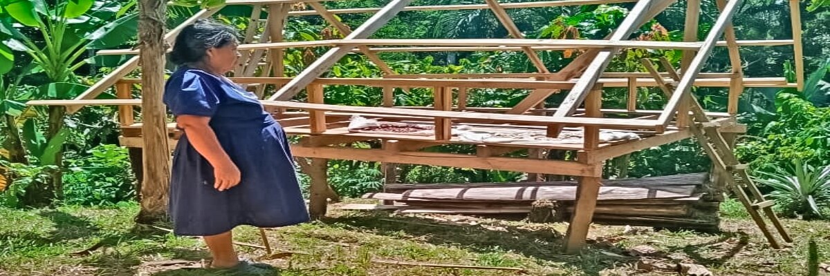Pequeños productores de cacao del pueblo Ngäbe, se ven beneficiados con la construcción de secadores solares