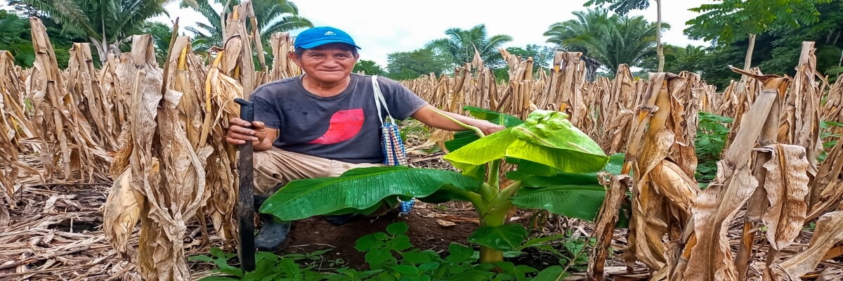 En Sayaxché, Petén, Guatemala, se realiza el monitoreo de sistemas agroforestales