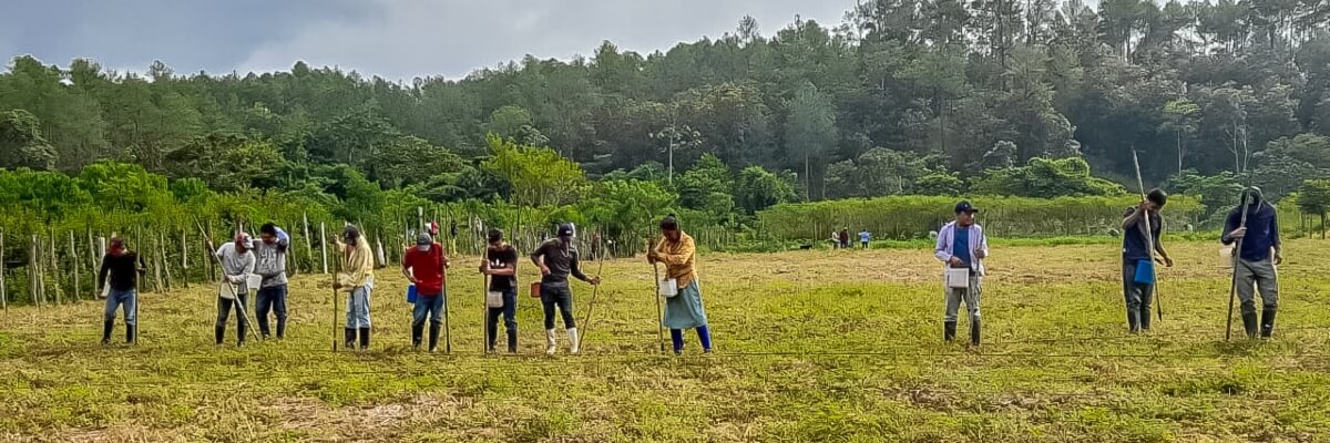 Residentes de Subirana, Olancho, Honduras preparan sus tierras para el establecimiento de sistemas agroforestales