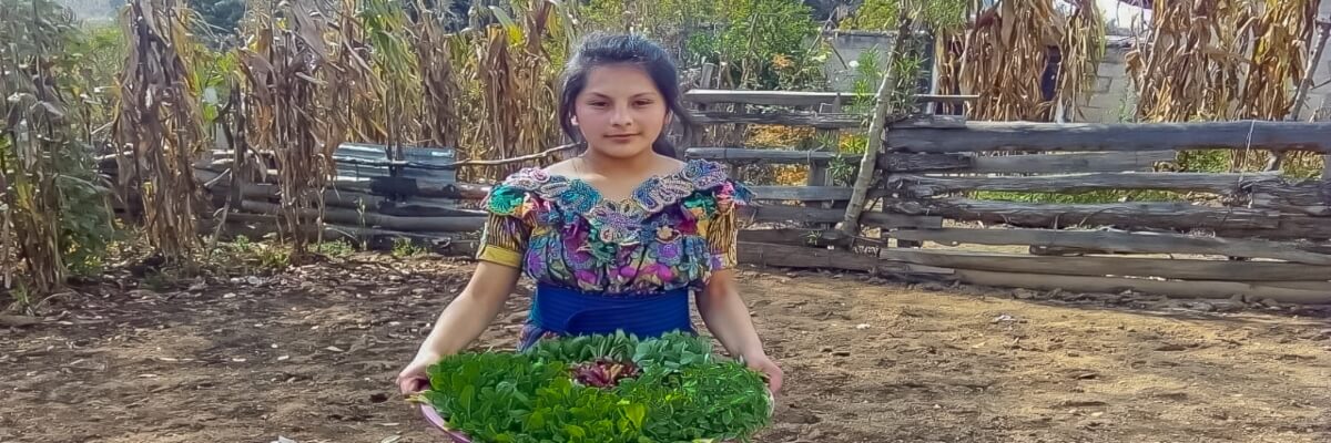 En comunidades indígenas mayas de Guatemala, se desarrollan actividades para el fortalecimiento de los pequeños productores agrícolas
