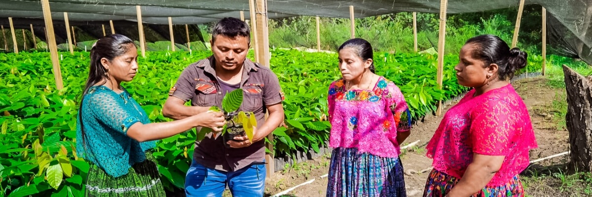 En los municipios de San Luis y Poptún, del departamento de Petén, Guatemala se realiza el monitoreo de sistemas agroforestales