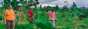 Establecimiento de bancos de semilla criollas como patrimonio ancestral de los pueblos del sur de Honduras