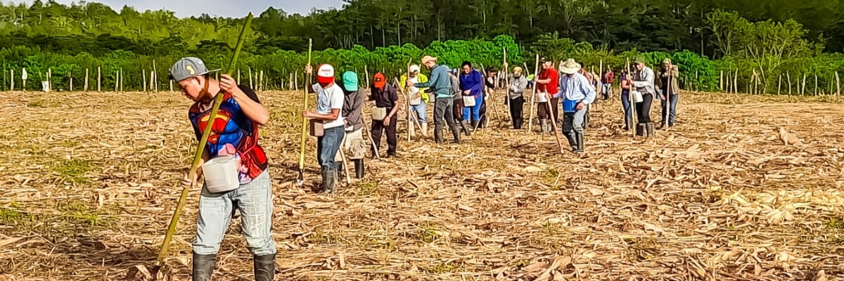Jóvenes Pech realizan la preparación de terreno y la siembra de frijol en Subirana, Dulce Nombre de Culmi, Olancho, Honduras