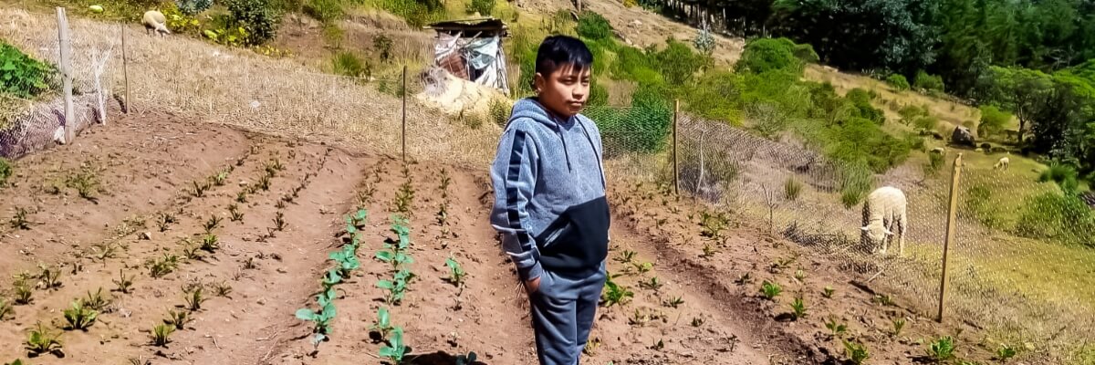 Del Campo a la Mesa, reduciendo la migración de jóvenes a través de la agrobiodiversidad en comunidades indígenas mayas del altiplano occidental de Guatemala