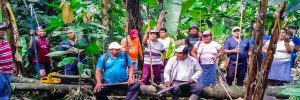 Pequeños productores de San Martin Jilotepeque, mejoran sus condiciones productivas con el apoyo del programa PAICC