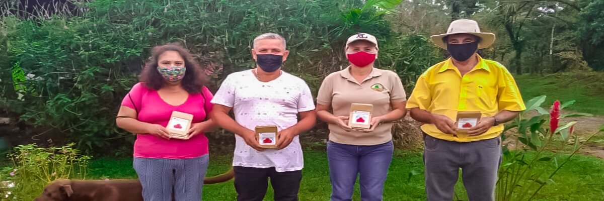 PAICC apoyando la diversificación de las actividades agrícolas mediante el suministro de semillas en Dos Ríos de Upala, Alajuela, Costa Rica