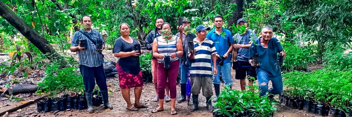 Producción agrícola para la solvencia alimentaria de Diamante de Sion