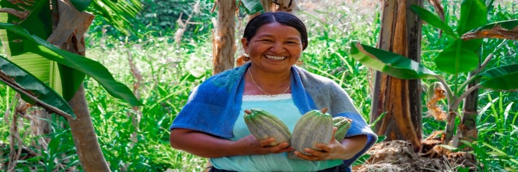 Conservación de la agrobiodiversidad en sistemas tradicionales de producción agrícola en comunidades del sur de Petén