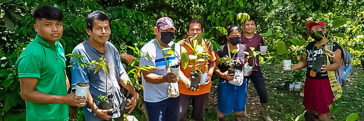 Diversificando los sistemas de producción agrícola en la región de Almirante, Panamá
