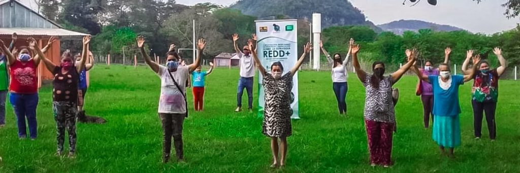 Impulsar y promover la participación informada y consensuada en REDD+ en los Departamentos de Itapúa, Caazapá y Guairá