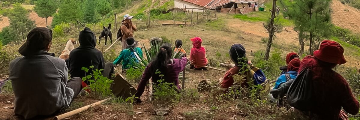 Asociación de Forestería Comunitaria de Guatemala Utz Che’