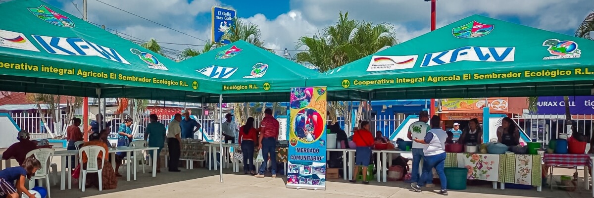 Monitoreo de sistemas agroforestales, transformación de alimentos y mejoramiento de la economía, mediante la promoción de productos en mercados campesinos