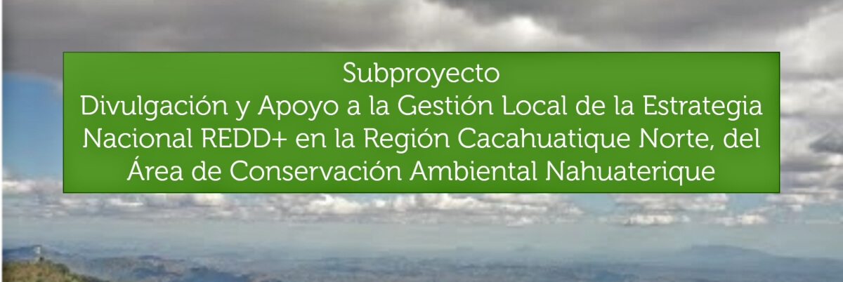 Divulgación y Apoyo a la Gestión Local de la Estrategia Nacional REDD+ en la Región Cacahuatique
