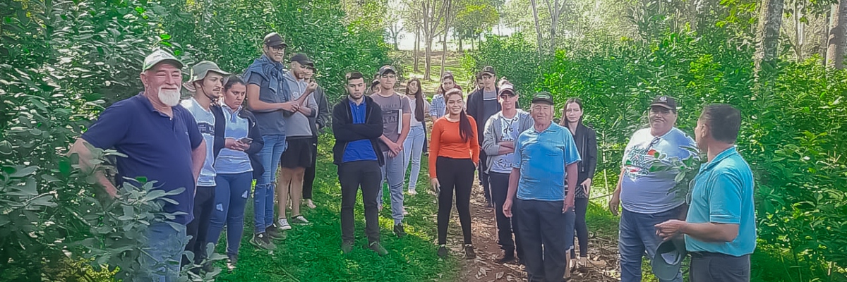 Fortalecimiento de las capacidades y consolidación de procesos sobre REDD+ en Paraguay