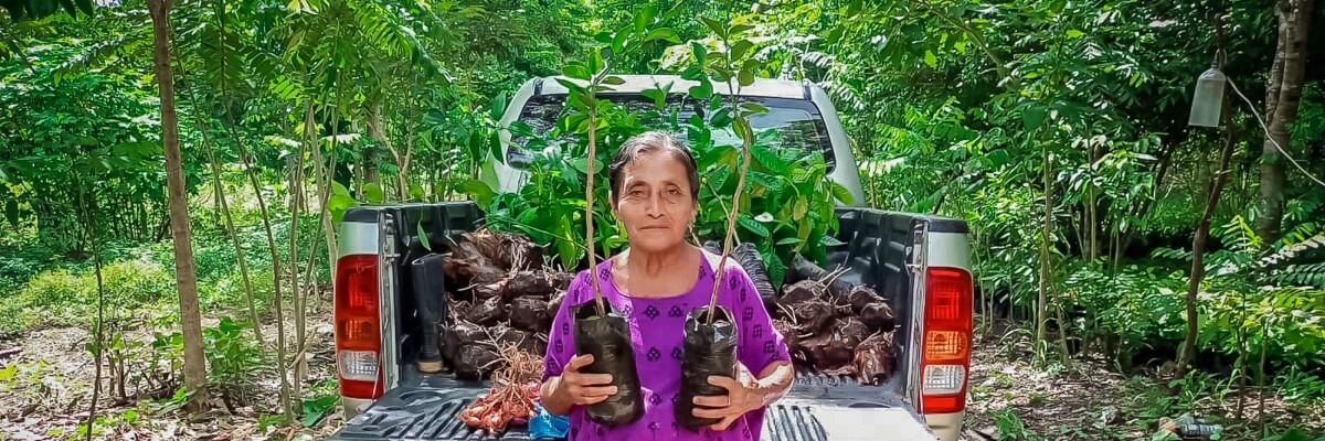 Pequeños productores reciben capacitación en producción orgánica y árboles para el establecimiento de sistemas agroforestales